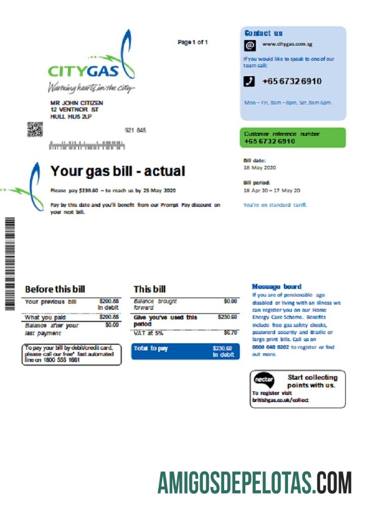 Para baixar modelo de conta de serviços públicos de gás da cidade de Cingapura em formato Word e PDF
